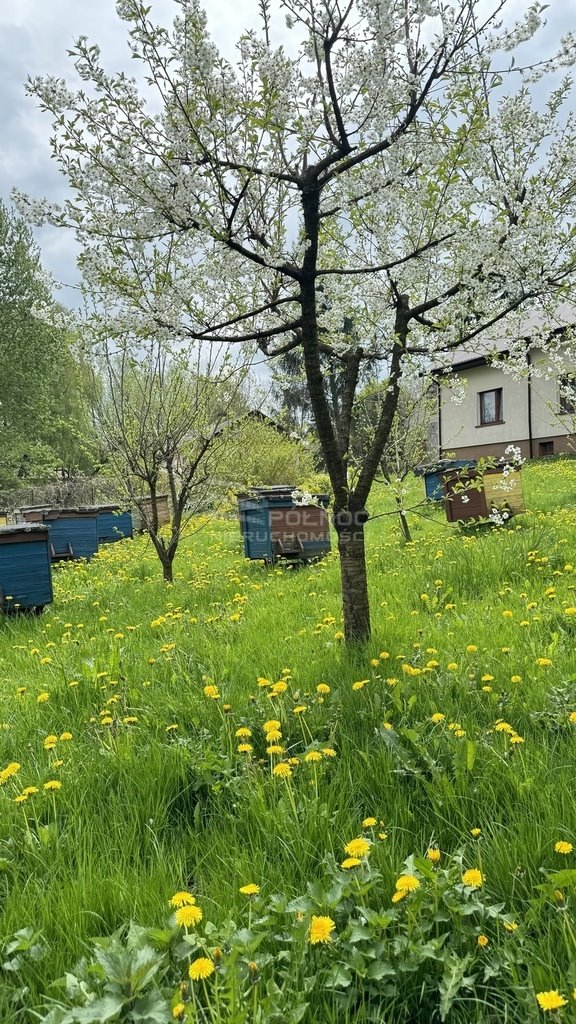 Dom na sprzedaż Piotrków Pierwszy  150m2 Foto 20