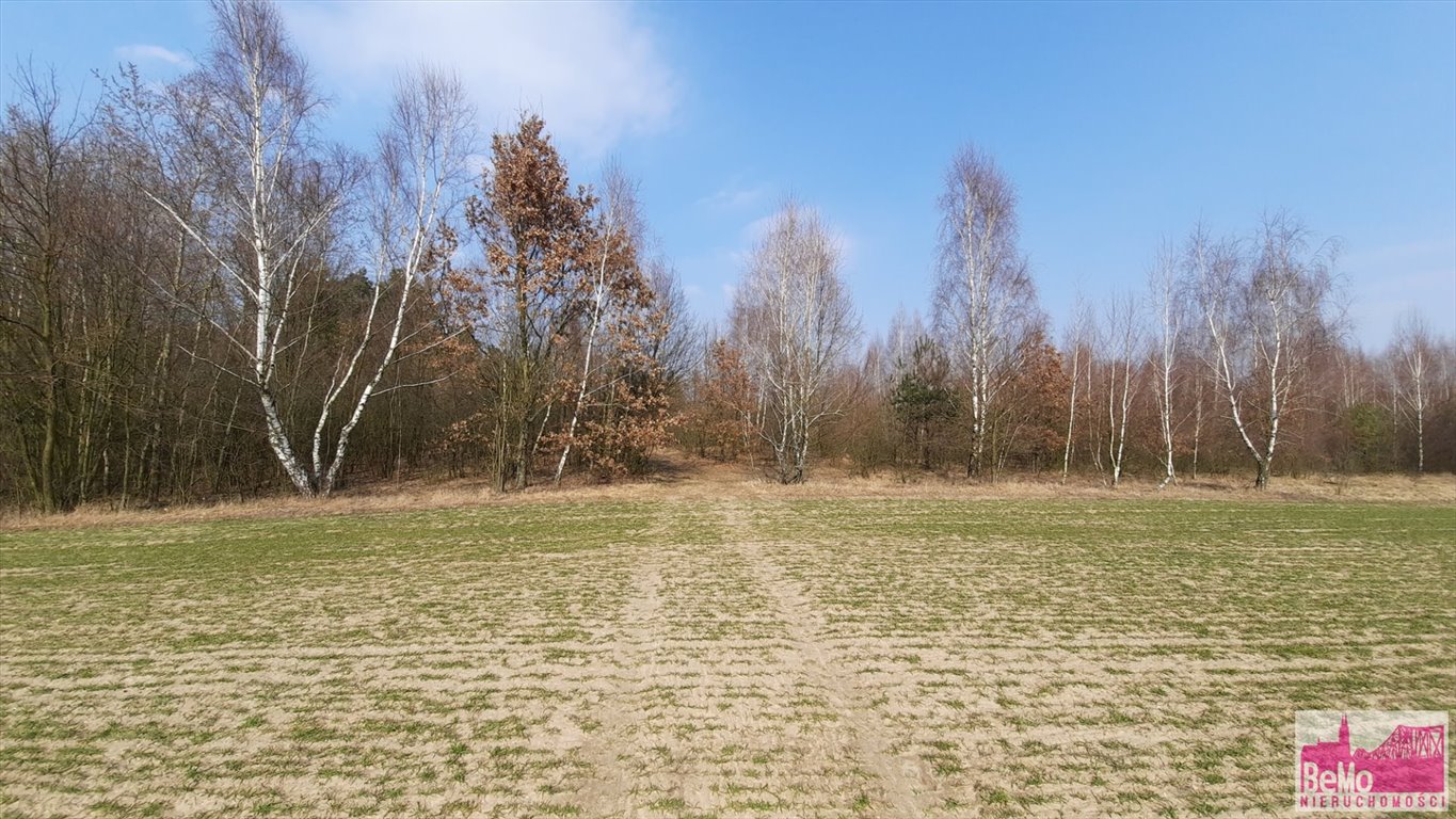 Działka leśna na sprzedaż Strupczewo Duże  73 400m2 Foto 14