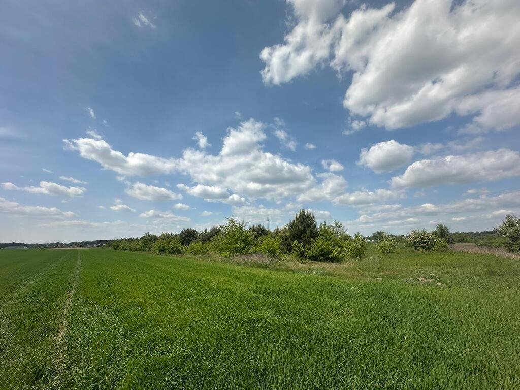 Urokliwa działka rolna 3000 m² w Krzeczynie, blisko lasu Krzeczyn  3 000m2 Foto 1
