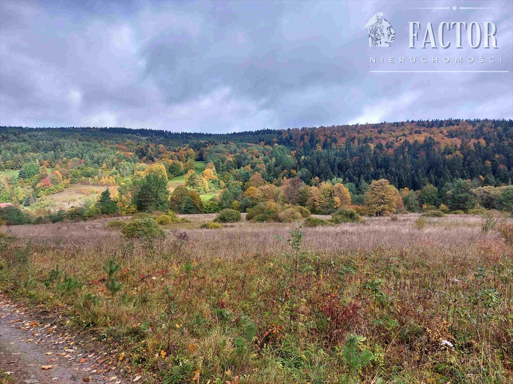 Działka budowlana na sprzedaż Kunkowa  809m2 Foto 3