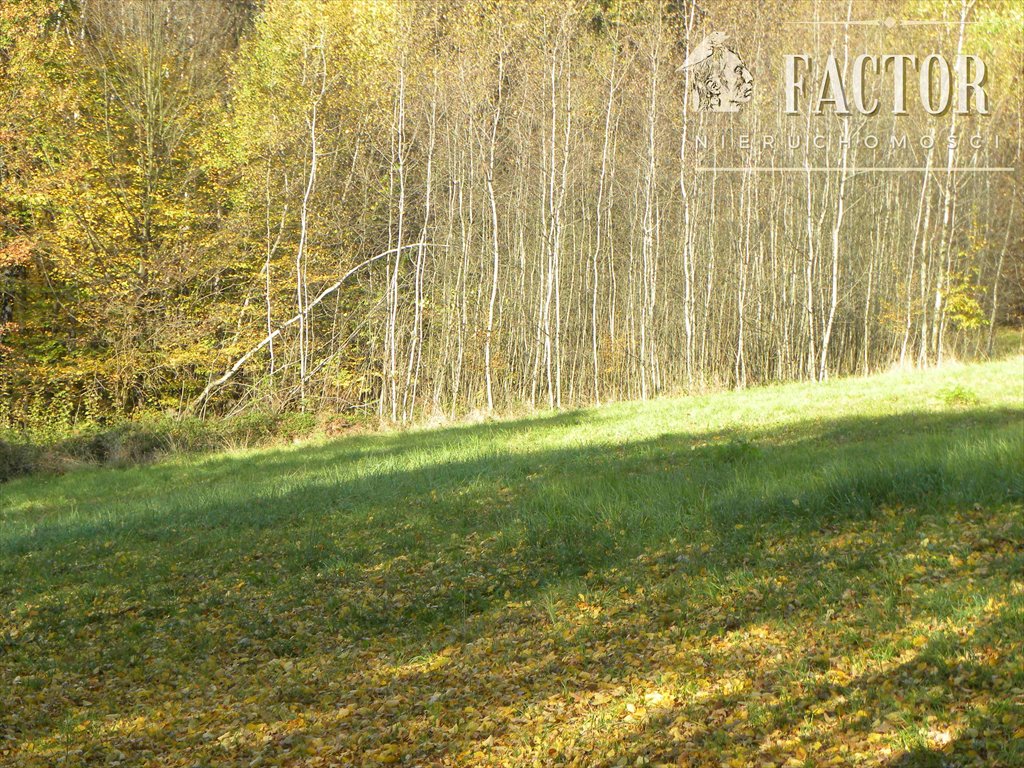 Działka budowlana 2,3 ha z lasem, media, blisko miasta Gorlice  2 300m2 Foto 1