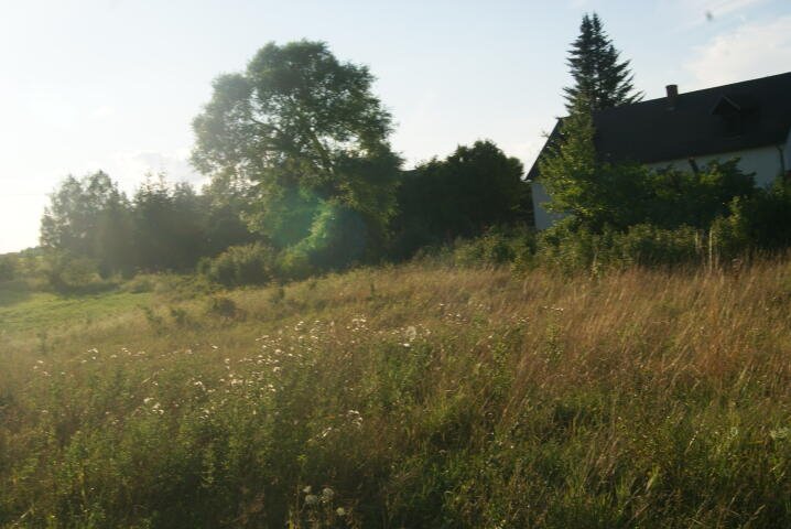 Działka rolna na sprzedaż Kozłowo  3 700m2 Foto 3