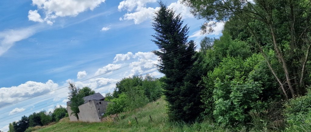 Działka budowlana na sprzedaż Szarlejka, Łukaszewicza  4 543m2 Foto 11