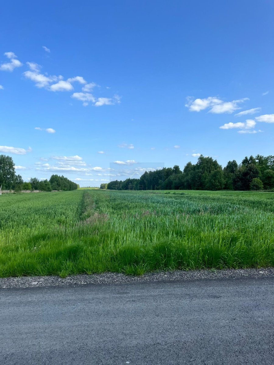 Działka budowlana na sprzedaż Lubojna, Różana  14 000m2 Foto 2