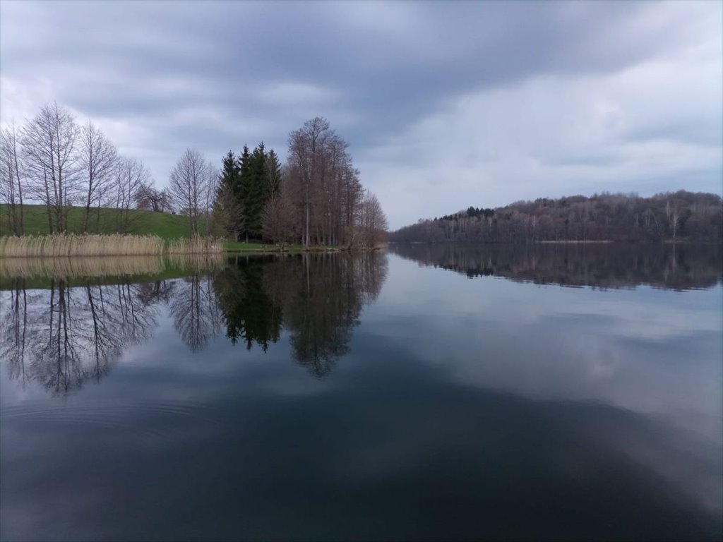 Działka budowlana na sprzedaż Gorczyca  8 313m2 Foto 3