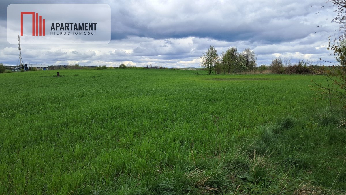 Działka budowlana na sprzedaż Skarszewy  1 000m2 Foto 13