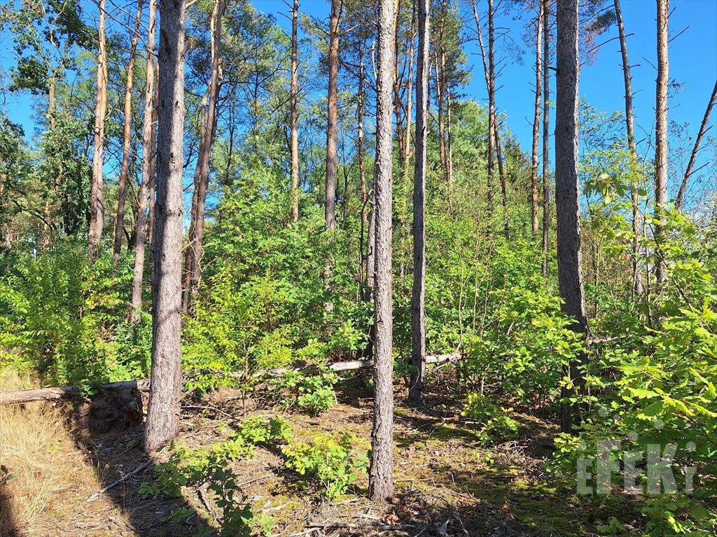 Działka budowlana na sprzedaż Ojrzanów  1 000m2 Foto 1