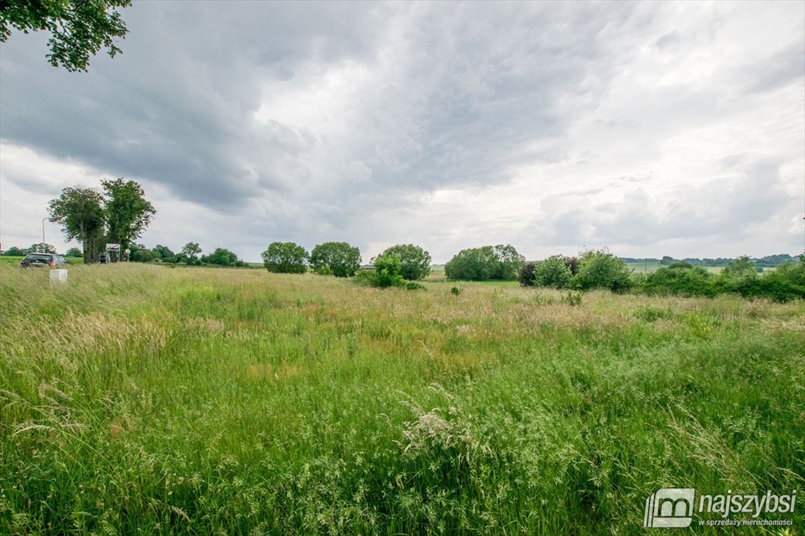 Działka rolna na sprzedaż Barwice, miasto  3 004m2 Foto 6