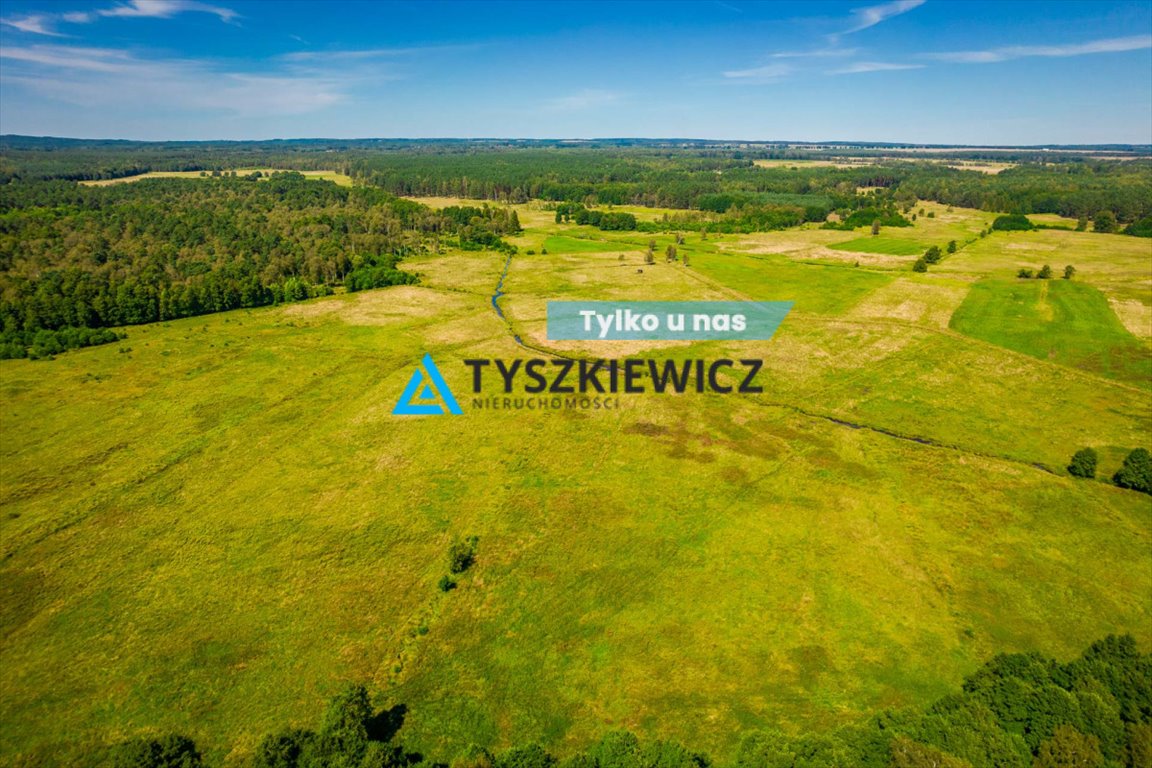 Działka rolna na sprzedaż Poborowo  9 200m2 Foto 1