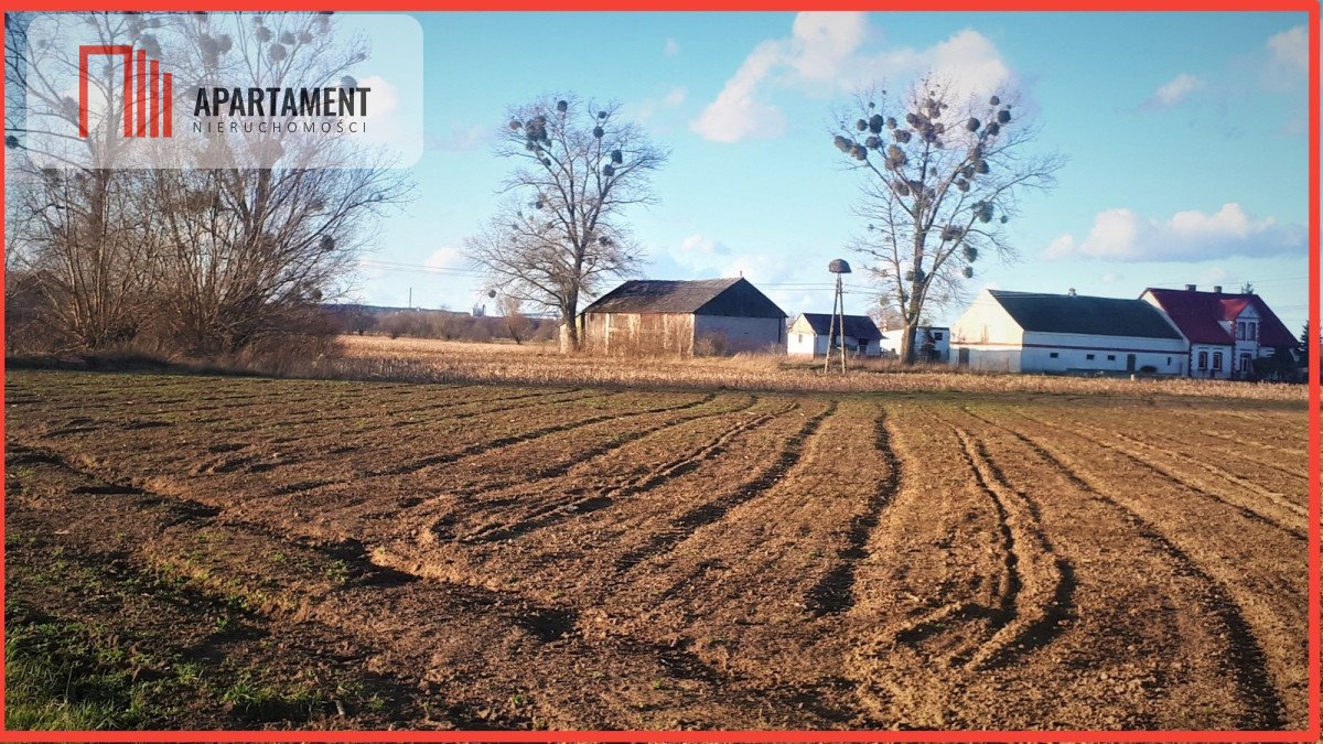 Działka 5000m² pod dom, blisko rzeki, media przy działce Niedźwiedź  5 000m2 Foto 1