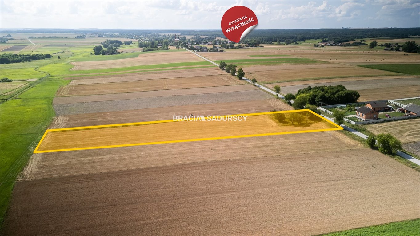 Działka budowlana na sprzedaż Sędziszów, Podsadek  7 500m2 Foto 5