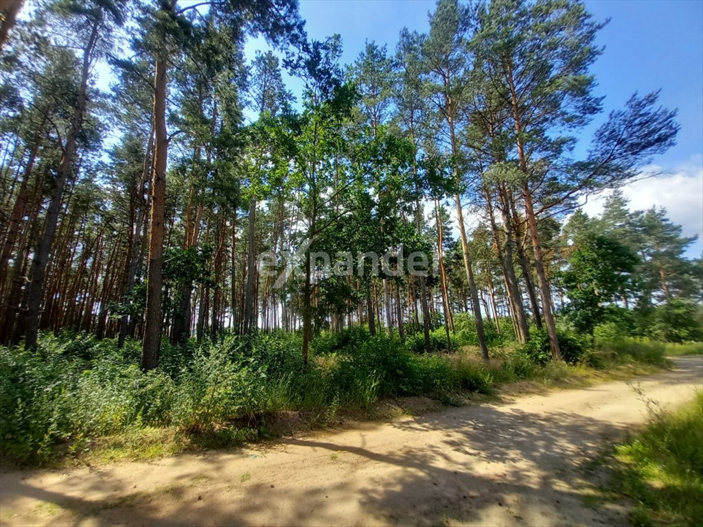 Działka leśna na sprzedaż Mierzynek, Ratownicza  789m2 Foto 4