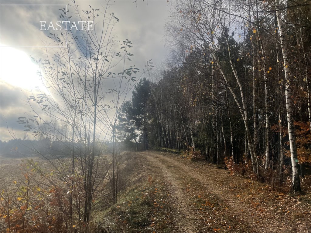 Działka rolna na sprzedaż Klonowo  1 200m2 Foto 2