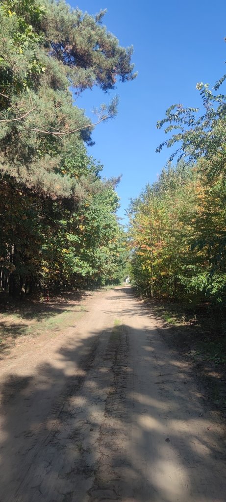 Działka budowlana na sprzedaż Marianów, aleja Kalinowa  3 000m2 Foto 10