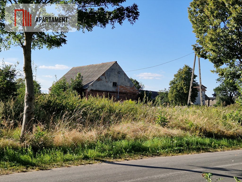 Działka budowlana na sprzedaż Ustaszewo  2 600m2 Foto 8