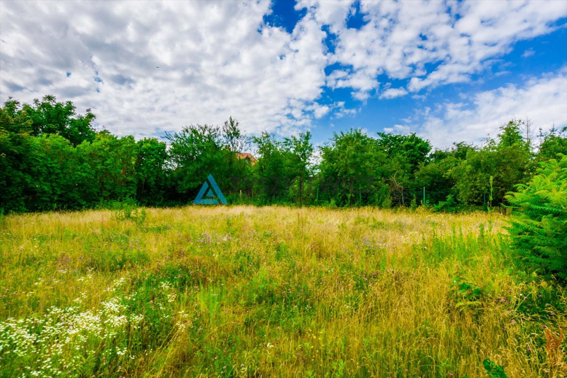 Działka przemysłowo-handlowa na sprzedaż Kościerzyna, Chojnicka  526m2 Foto 12