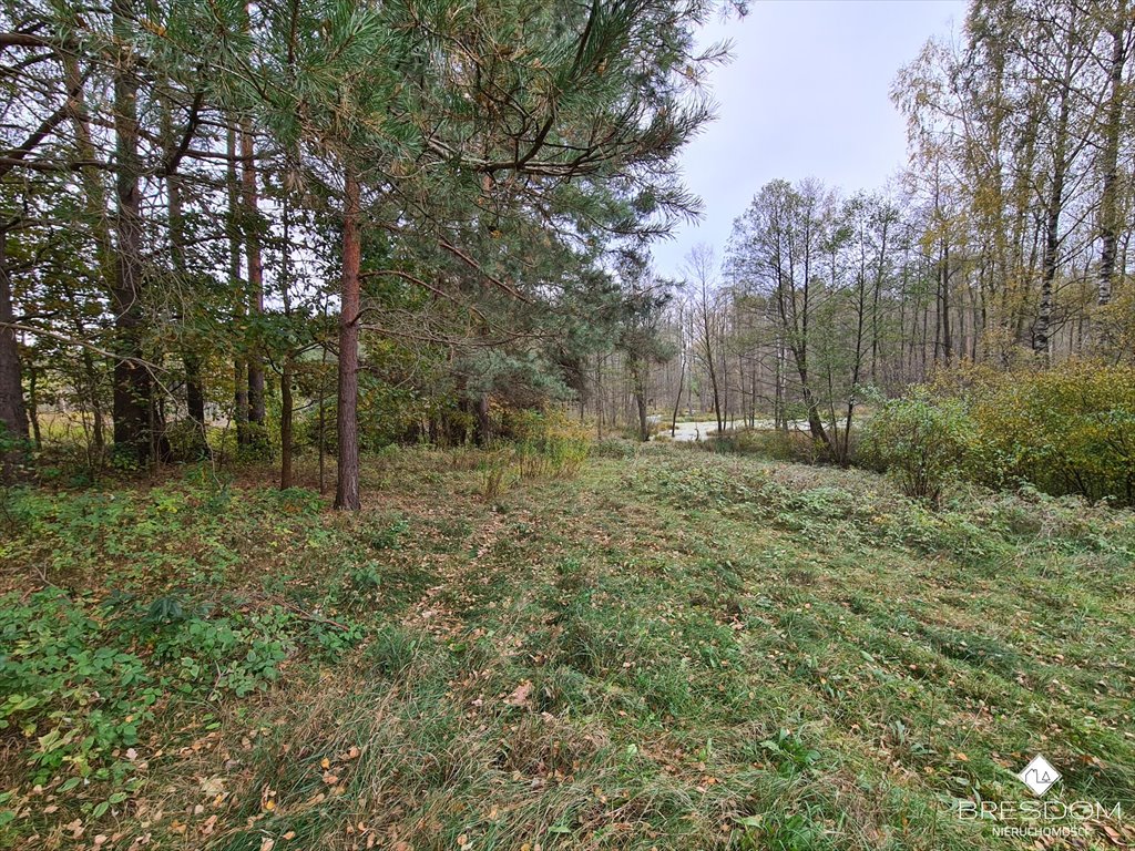 Działka rolna na sprzedaż Dywity  4 700m2 Foto 1