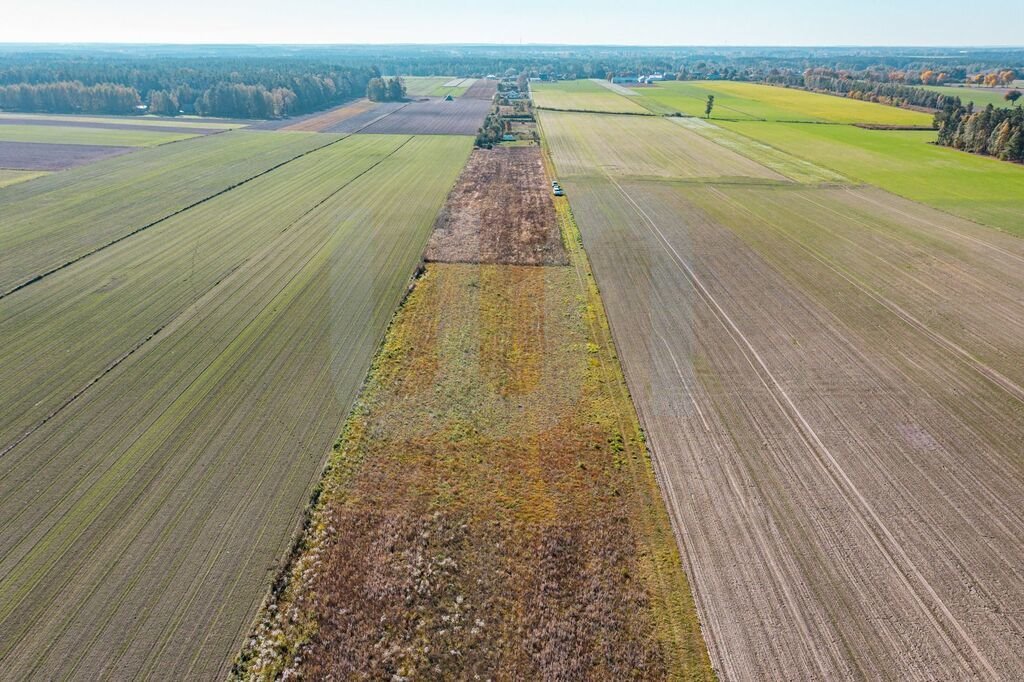 Działka budowlana na sprzedaż Krajęczyn  3 000m2 Foto 8