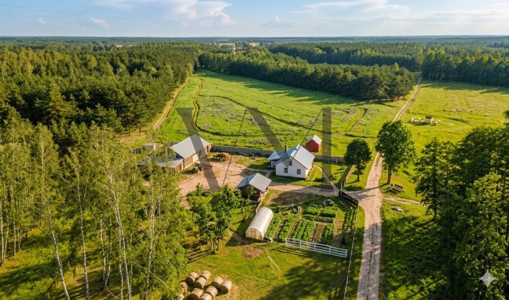 Sprzedam siedlisko z domem i domkiem gości w Zabagnie Zabagnie  56 050m2 Foto 1