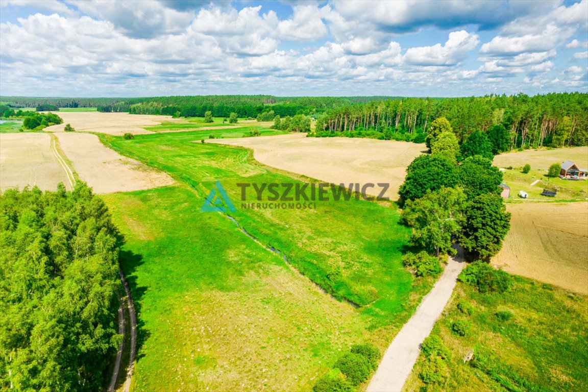 Działka rolna na sprzedaż Chojniczki  4 600m2 Foto 7
