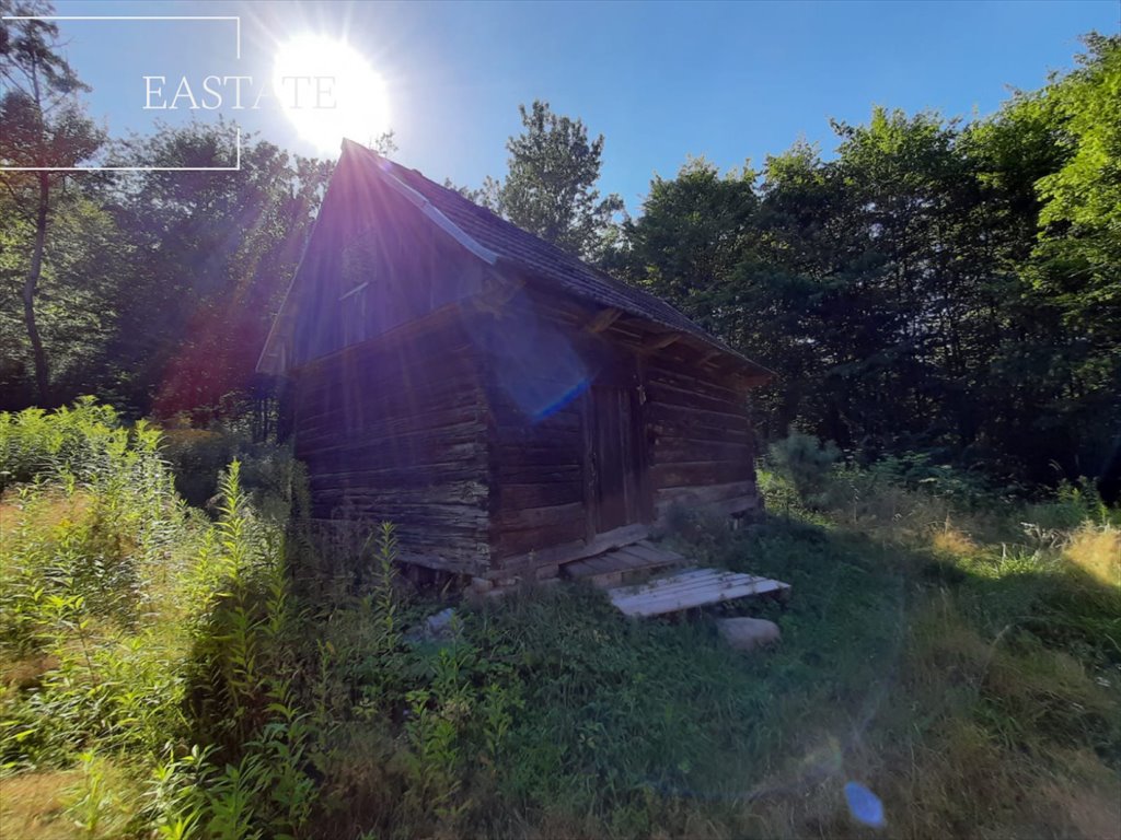 Działka leśna na sprzedaż Bartkowa-Posadowa  43 300m2 Foto 3