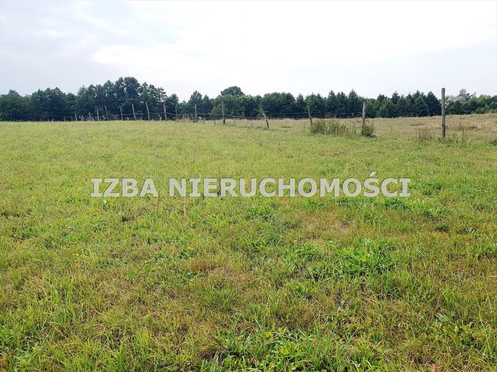 Działka rekreacyjna na sprzedaż Grabnik  3 400m2 Foto 3