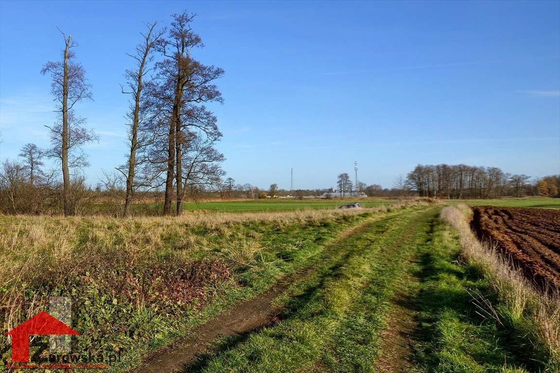 Działka budowlana na sprzedaż Kędzierzyn-Koźle, Sławięcice  2 277m2 Foto 12