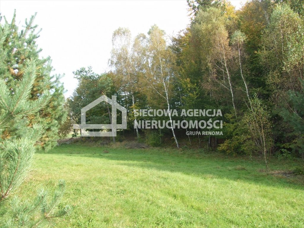 Działka budowlana na sprzedaż Ramleje 3 096m2 Foto 1 Działka budowlana na sprzedaż Ramleje 3 096m2 Foto 1
