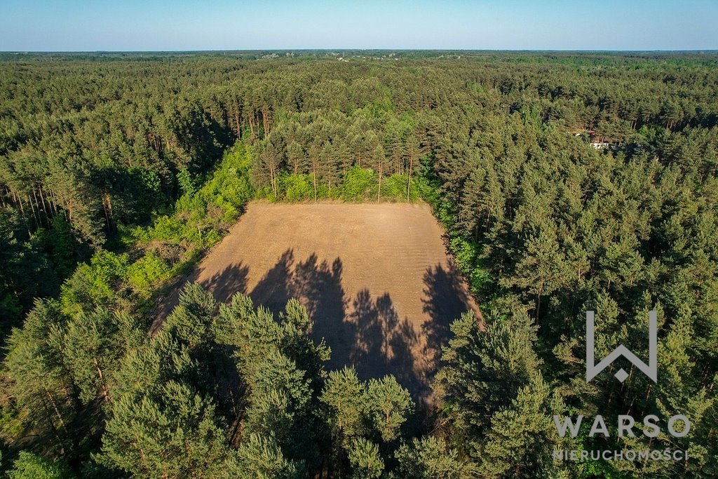 Działka budowlana na sprzedaż Prace Duże, Główna  4 339m2 Foto 13