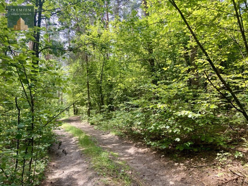 Działka leśna na sprzedaż Orla  3 400m2 Foto 2