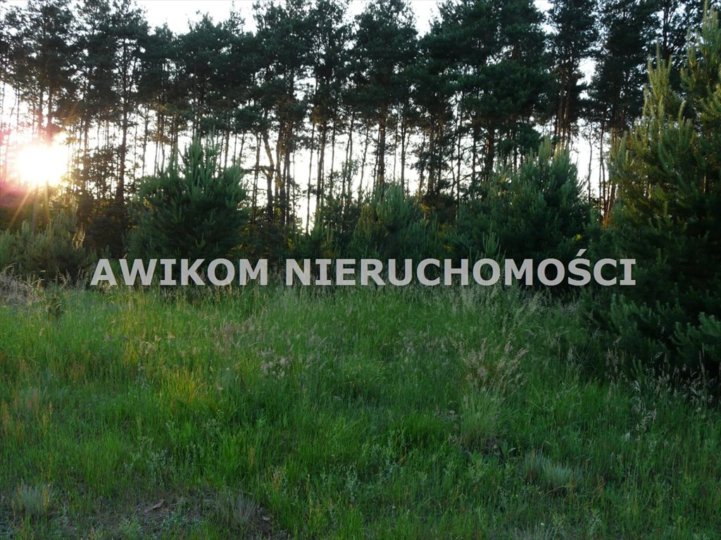 Działka siedliskowa na sprzedaż Bolimów  6 162m2 Foto 9