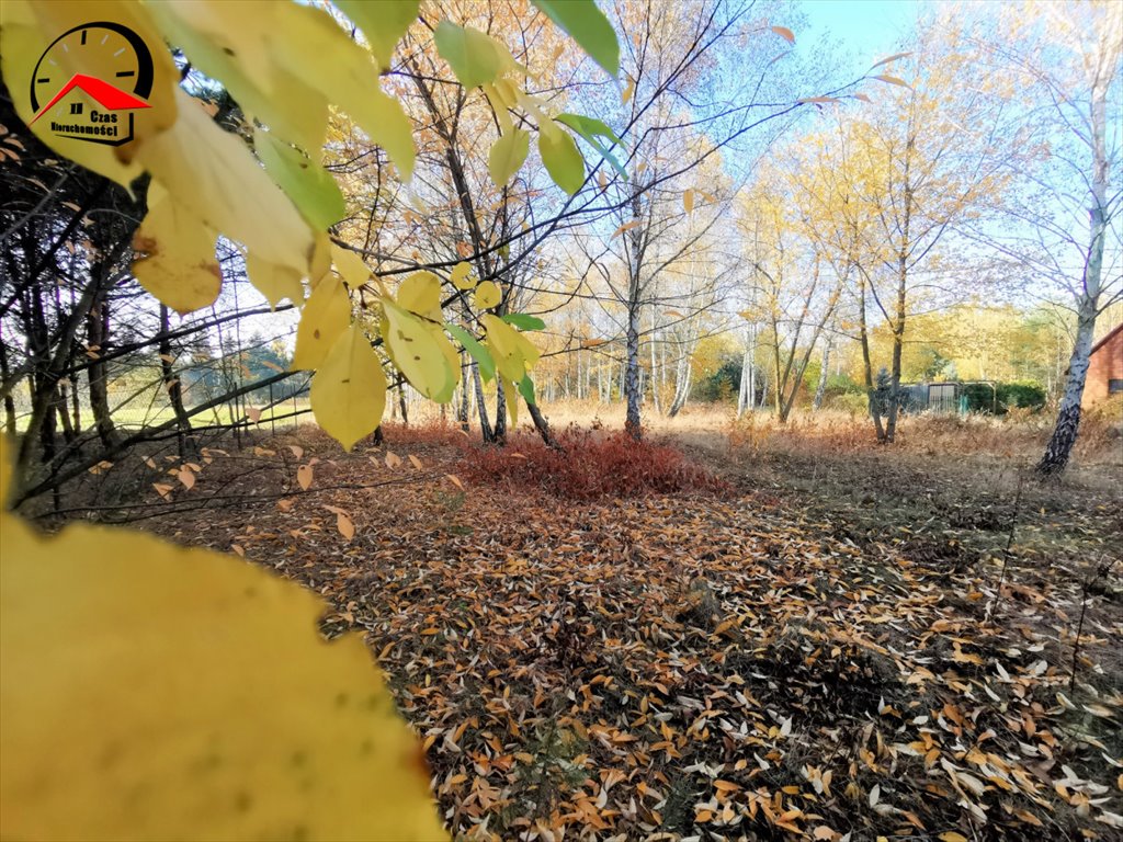 Działka gospodarstwo rolne na sprzedaż Orle  3 700m2 Foto 1