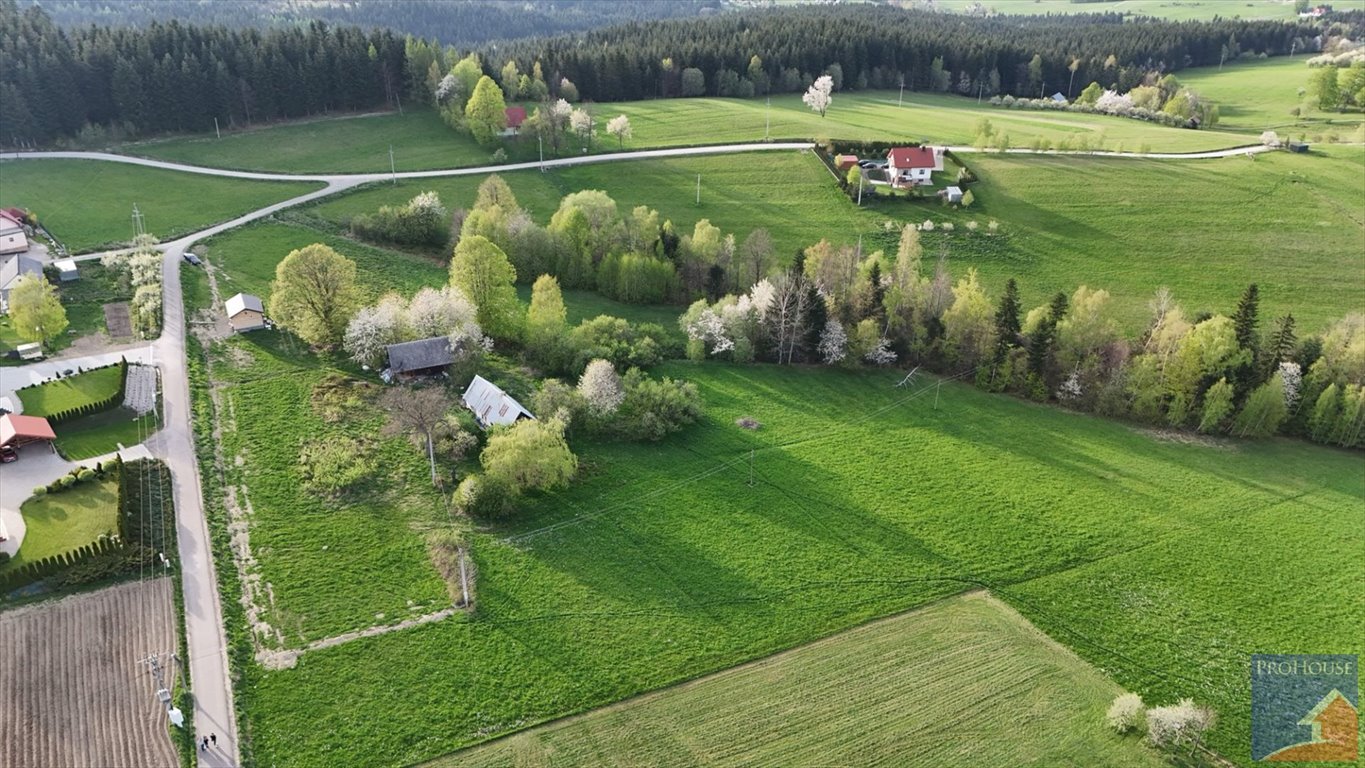 Działka budowlana na sprzedaż Stara Wieś  14 000m2 Foto 12