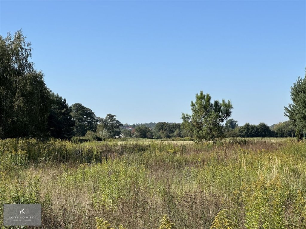 Działka inna na sprzedaż Komorów  1 903m2 Foto 2