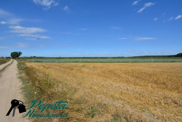 Działka budowlana na sprzedaż Kórnik, Kórnik, Radzewo  10 462m2 Foto 7