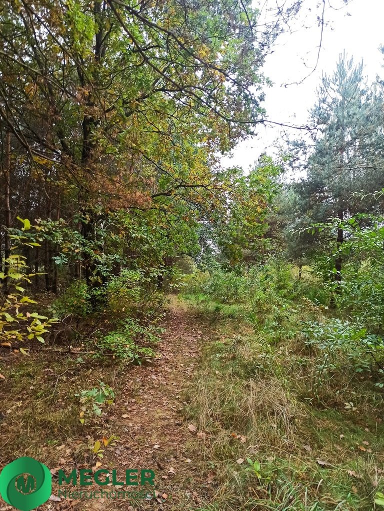 Działka budowlana na sprzedaż Zalesie  1 243m2 Foto 5