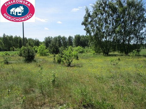 Działka budowlana na sprzedaż Długokąty  19 000m2 Foto 7