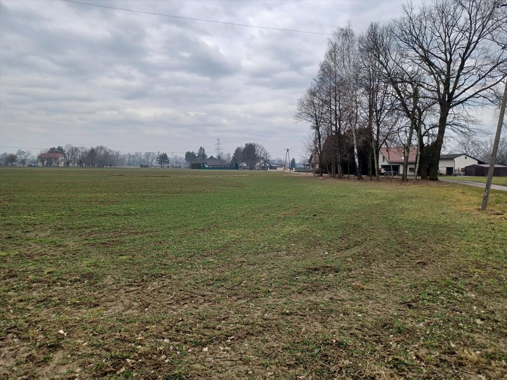 Działka budowlana na sprzedaż Ochaby Wielkie  15 747m2 Foto 1