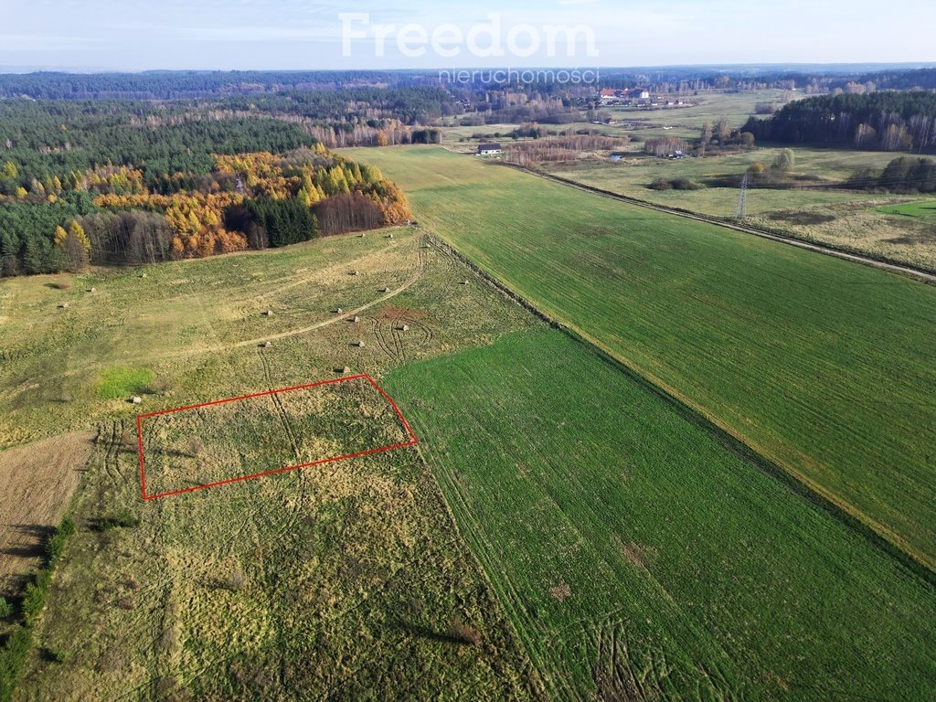 Działka rolna na sprzedaż Woryty  3 106m2 Foto 12