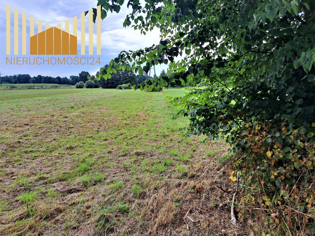 Działka rolna 4550 m² z dojazdem asfaltowym - polecam! Mrozy  4 550m2 Foto 1