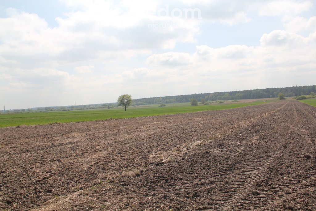 Dom na sprzedaż Jeżów  100m2 Foto 6