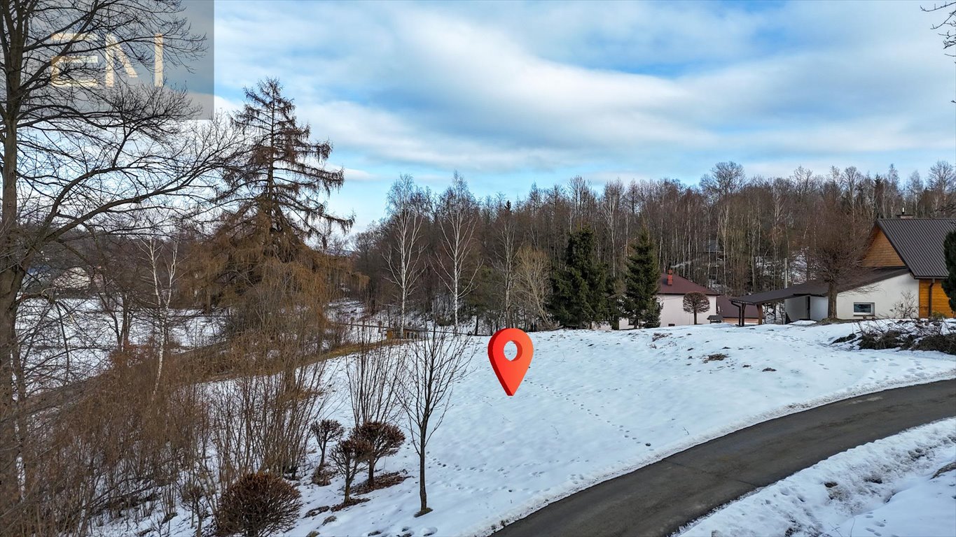 Działka 1500 m² z warunkami zabudowy i dostępem do infrastruktury Niepla  1 500m2 Foto 1