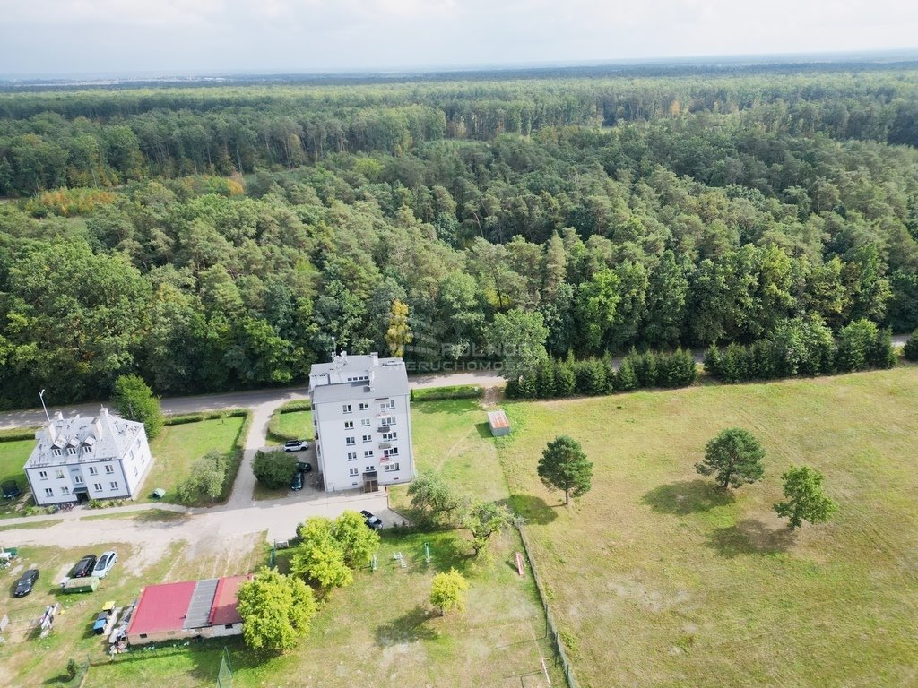 Mieszkanie dwupokojowe na sprzedaż Adampol  44m2 Foto 2