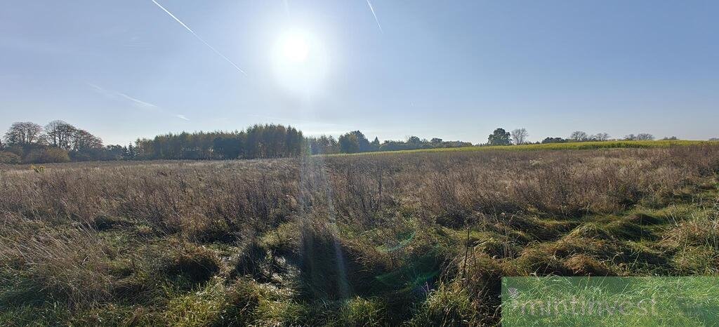 Działka budowlana na sprzedaż Krasnołęka  3 985m2 Foto 8