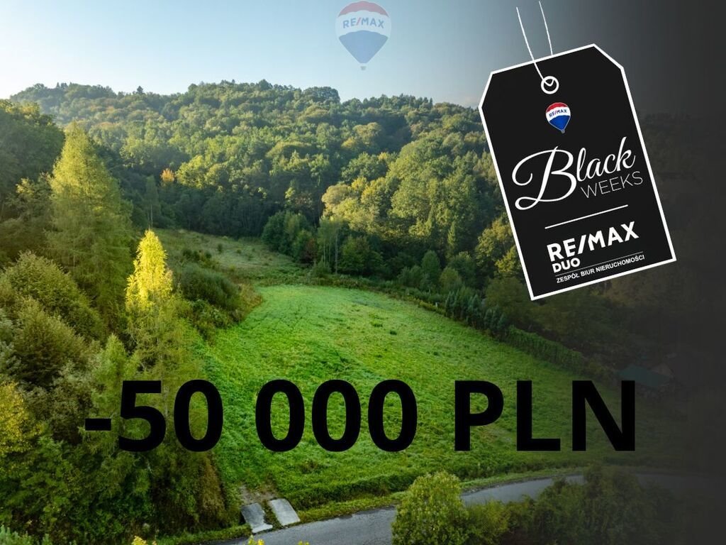 Działka siedliskowa na sprzedaż Włosań, Chmielnik  14 000m2 Foto 1