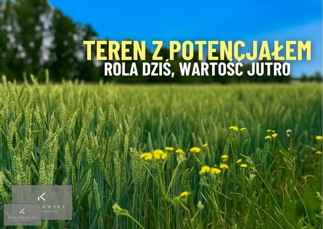 Działka inna na sprzedaż Namysłów, Kowalowice  3 000m2 Foto 1