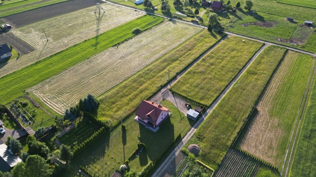 Działka budowlana na sprzedaż Rożnów  3 001m2 Foto 1
