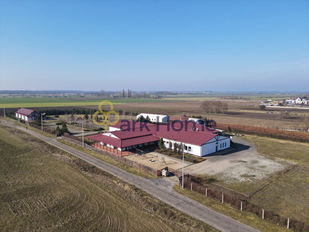 Lokal użytkowy na sprzedaż Przybyszewo  1 280m2 Foto 11