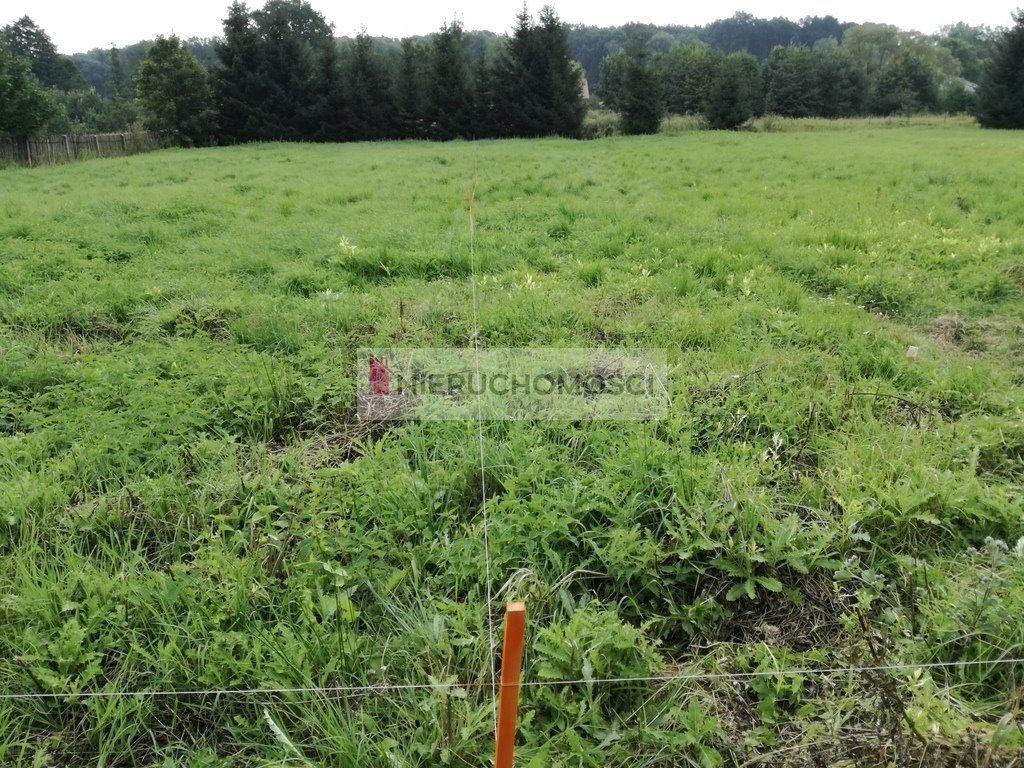 Działka budowlana na sprzedaż Szczepanów  1 262m2 Foto 3