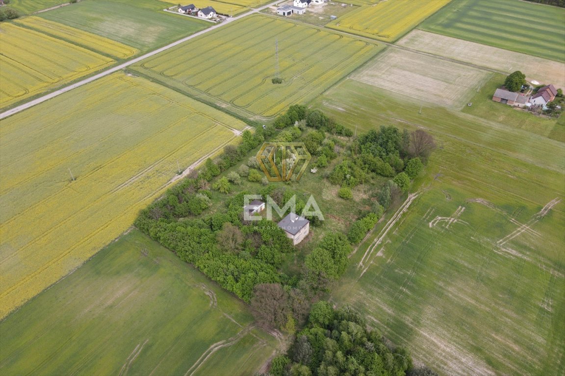 Działka rolna na sprzedaż Zwierzyniec Pierwszy  10 357m2 Foto 7